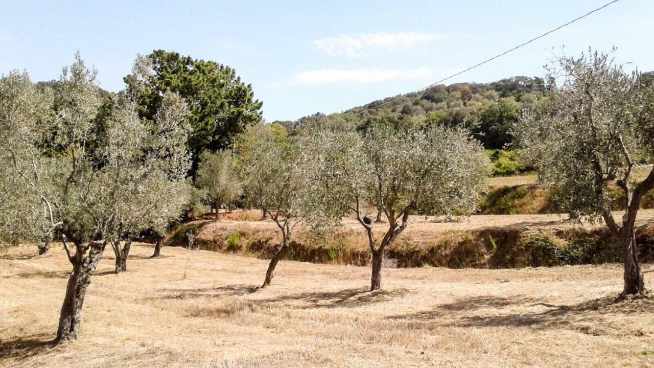 Apartamento Podere Barlo Campiglia Marittima Exterior foto