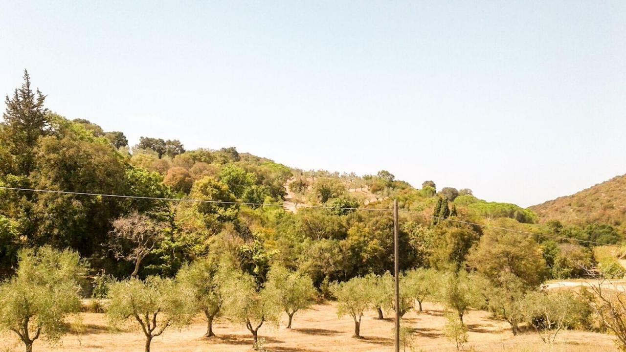 Apartamento Podere Barlo Campiglia Marittima Exterior foto